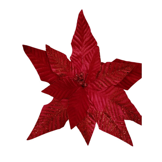 Pascua Navideña